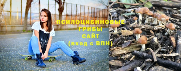 хмурый Бронницы