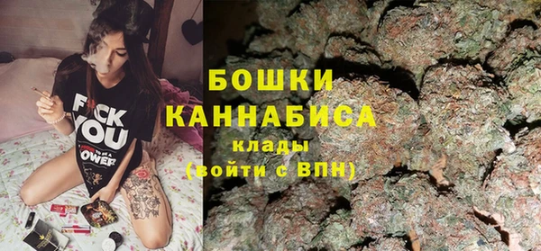 гидропоника Бородино
