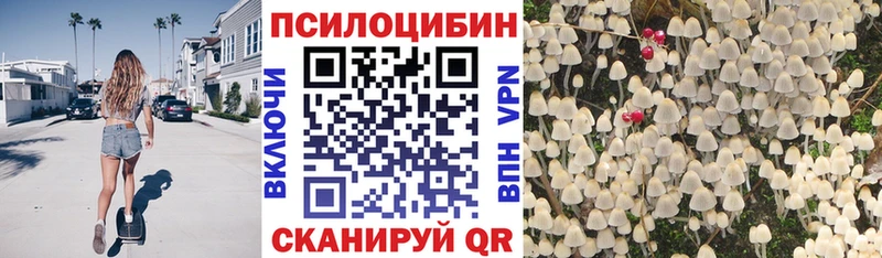как найти   hydra как войти  Псилоцибиновые грибы Psilocybine cubensis  Наволоки 